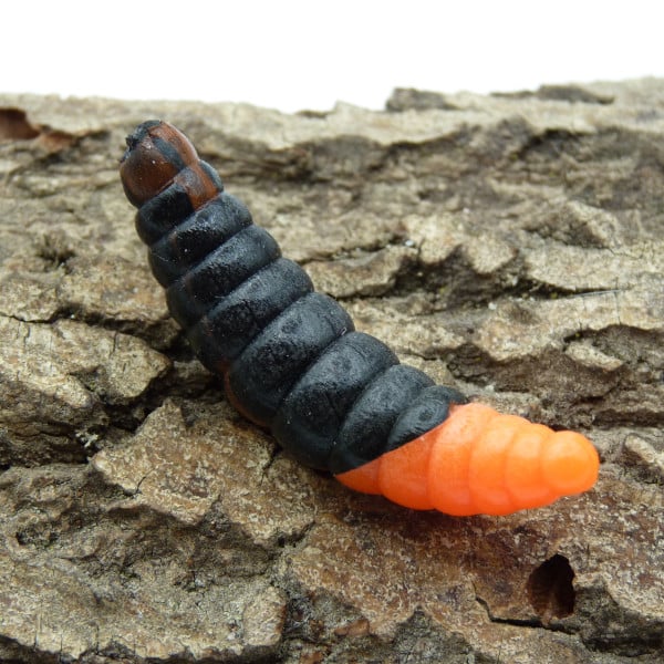 Gummikoeder Forelle RIP No 9 schwarz orange