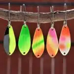 Vorderseite der Antem Dohna aehnlichen Spoons