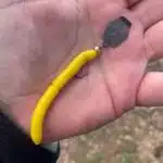 Chatterbait mit montiertem Libra Lures in Handinnenflaeche