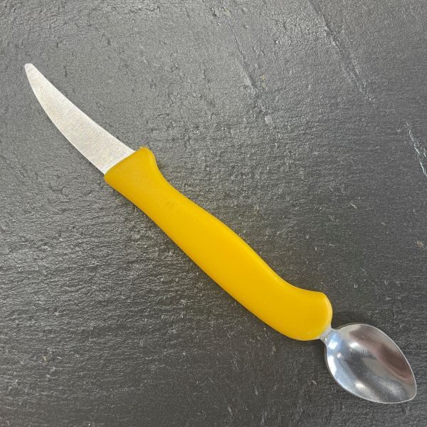 Fisch Schlachtmesser mit Loeffel in Gelb auf einer Schieferplatte