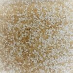 Graved Lachs Reifer lose