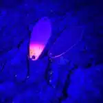 Trout Area Sports Spoon Njoerd 4 unter UV Licht