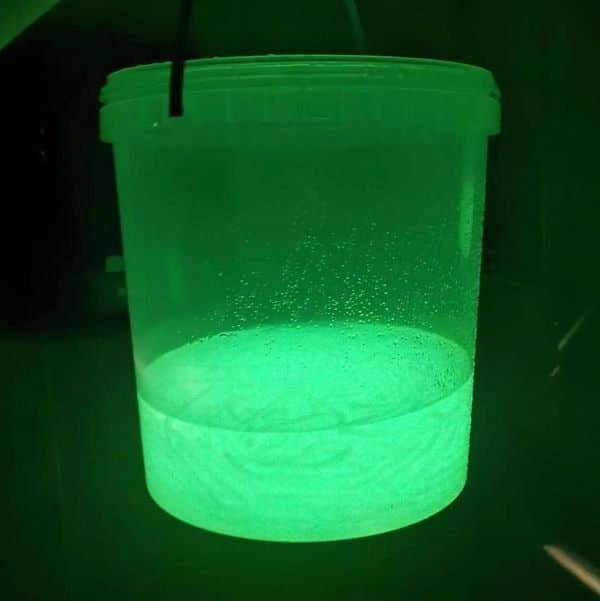 Glow_2 Ein Becher Libra Lures Silikonmasse in Glow mit UV Licht angeleuchtet