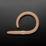 Libra Lures Flex Worm in Farbe 035 PELLETS