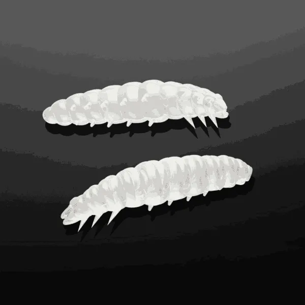 Libra Lures Larva in Farbe 004 SILVER PEARL