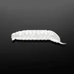 Libra Lures Goliath in Farbe 004 SILVER PEARL